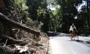 Passeio de bicicleta