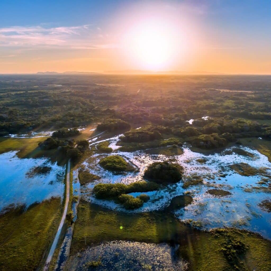 Pantanal Merola Luxury Travel 3