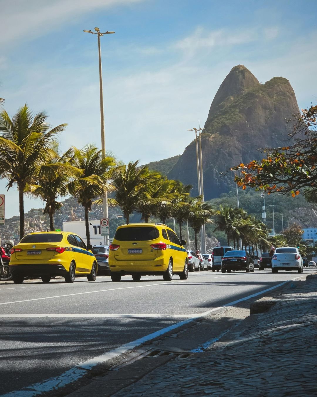 bodyguard rio de janeiro